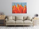 Red Hot Chili Pepper Gallery Wrap